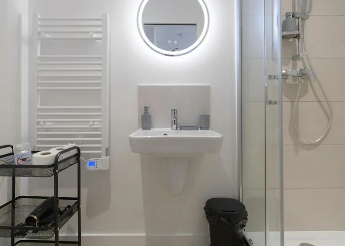 Apartman Louis B - Design Et Climatises Vichy